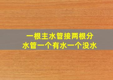 一根主水管接两根分水管一个有水一个没水