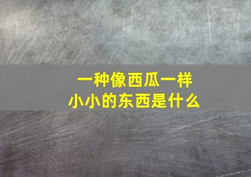 一种像西瓜一样小小的东西是什么