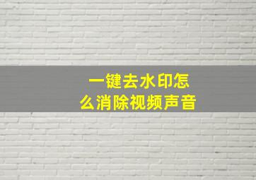 一键去水印怎么消除视频声音