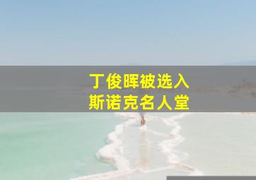 丁俊晖被选入斯诺克名人堂