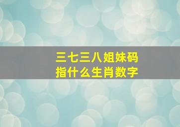 三七三八姐妹码指什么生肖数字