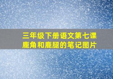 三年级下册语文第七课鹿角和鹿腿的笔记图片