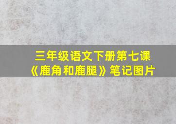 三年级语文下册第七课《鹿角和鹿腿》笔记图片