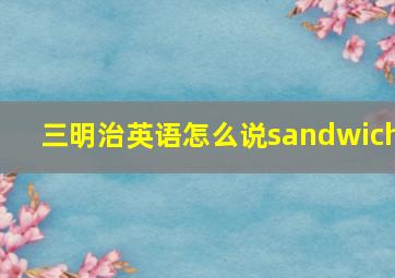 三明治英语怎么说sandwich