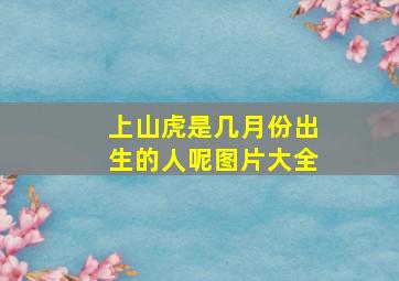 上山虎是几月份出生的人呢图片大全