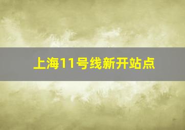 上海11号线新开站点