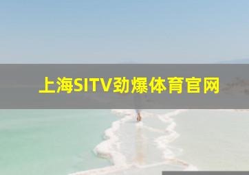 上海SITV劲爆体育官网