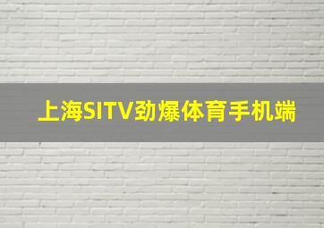 上海SITV劲爆体育手机端