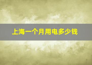 上海一个月用电多少钱