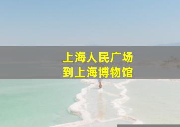 上海人民广场到上海博物馆