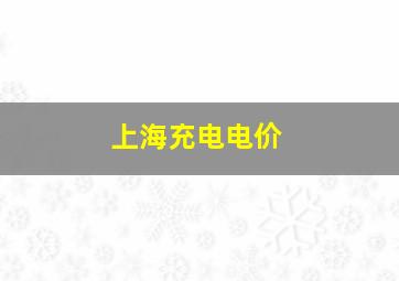 上海充电电价