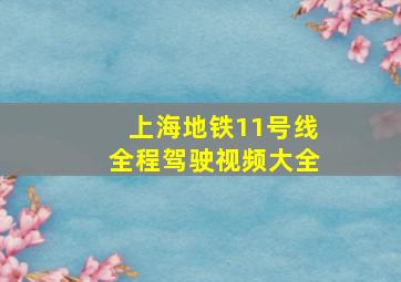 上海地铁11号线全程驾驶视频大全