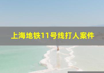 上海地铁11号线打人案件