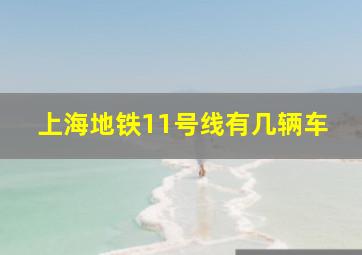 上海地铁11号线有几辆车