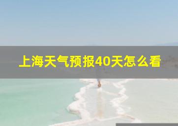 上海天气预报40天怎么看