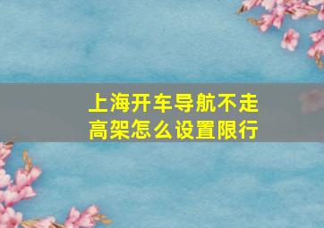 上海开车导航不走高架怎么设置限行