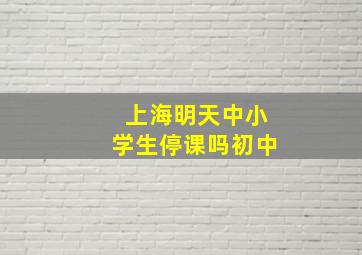 上海明天中小学生停课吗初中