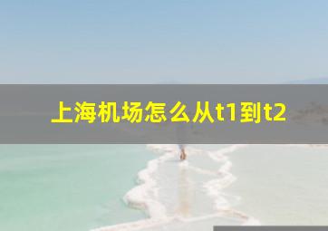 上海机场怎么从t1到t2