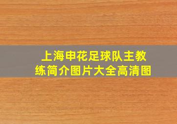 上海申花足球队主教练简介图片大全高清图