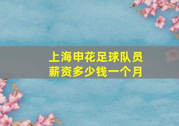 上海申花足球队员薪资多少钱一个月