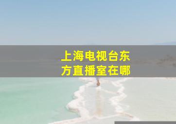 上海电视台东方直播室在哪