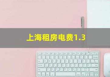 上海租房电费1.3