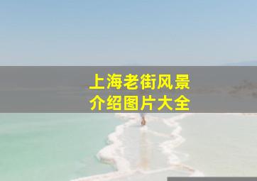 上海老街风景介绍图片大全