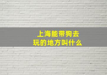 上海能带狗去玩的地方叫什么