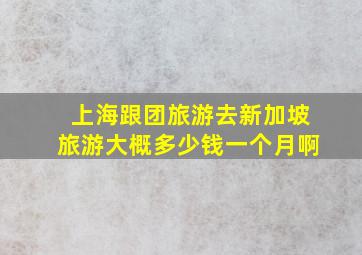 上海跟团旅游去新加坡旅游大概多少钱一个月啊