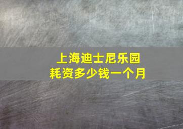 上海迪士尼乐园耗资多少钱一个月