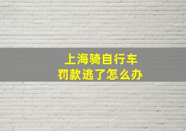 上海骑自行车罚款逃了怎么办