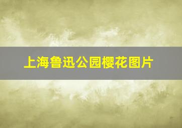 上海鲁迅公园樱花图片