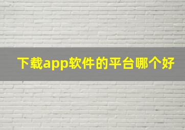 下载app软件的平台哪个好