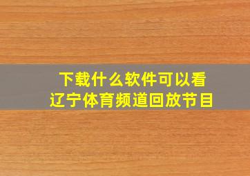 下载什么软件可以看辽宁体育频道回放节目