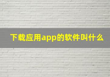 下载应用app的软件叫什么