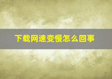 下载网速变慢怎么回事