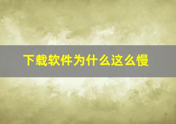 下载软件为什么这么慢