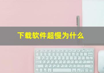 下载软件超慢为什么