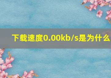 下载速度0.00kb/s是为什么