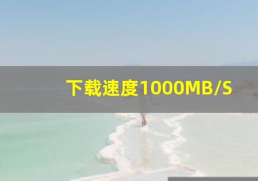 下载速度1000MB/S