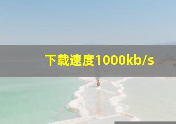 下载速度1000kb/s