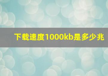 下载速度1000kb是多少兆