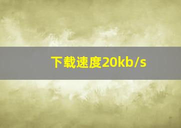 下载速度20kb/s