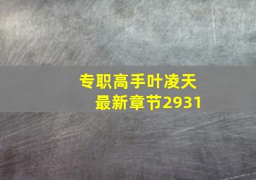 专职高手叶凌天最新章节2931