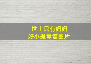 世上只有妈妈好小提琴谱图片