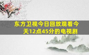 东方卫视今日回放观看今天12点45分的电视剧