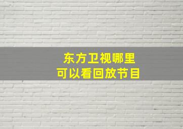 东方卫视哪里可以看回放节目