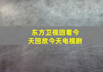 东方卫视回看今天回放今天电视剧