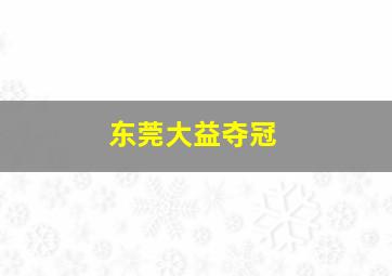 东莞大益夺冠