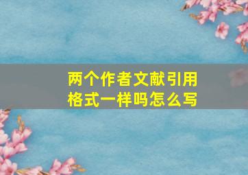 两个作者文献引用格式一样吗怎么写